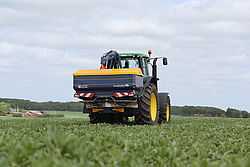 csm IMG 0058 ea7edff025