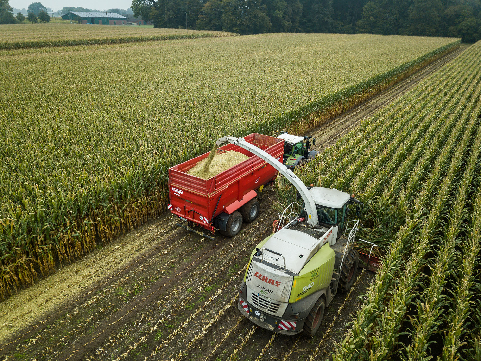 Agriculture, Countryside, Field, Nature, Outdoors